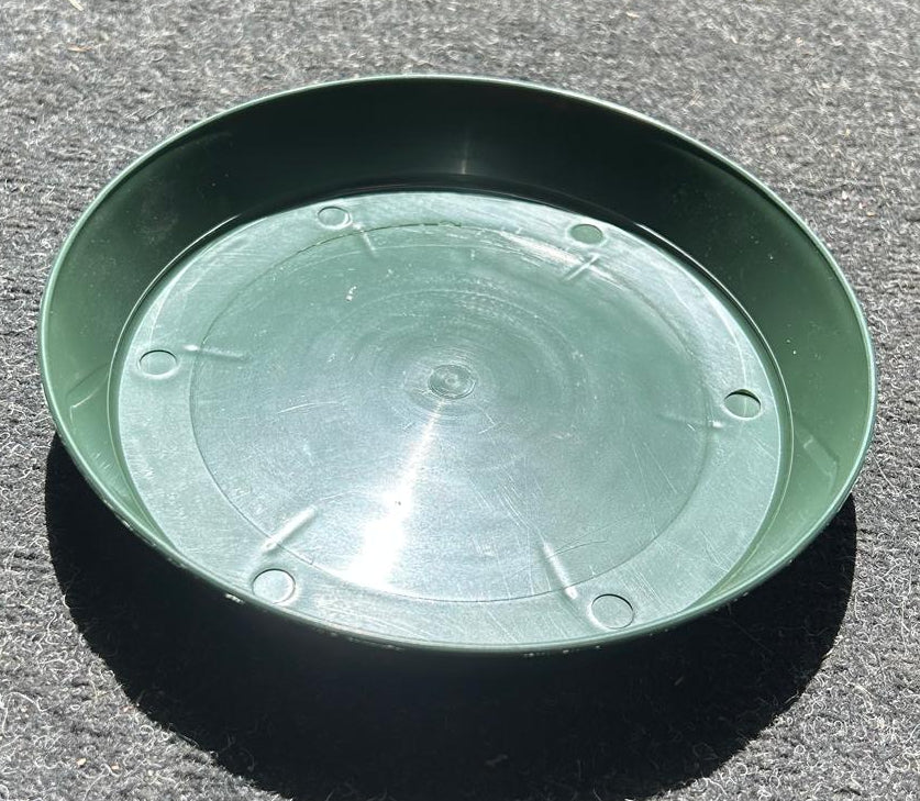 Plant Saucer