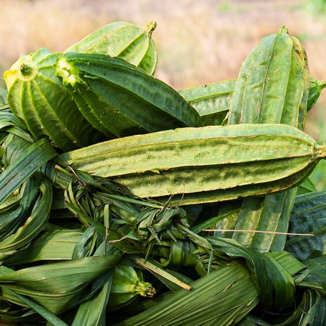 Krobonko Luffa Gourd Seeds