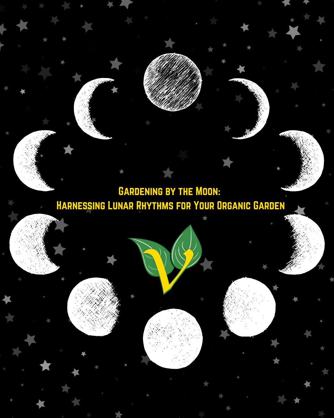 Gardening by the Moon: Harnessing Lunar Rhythms for Your Organic Garden