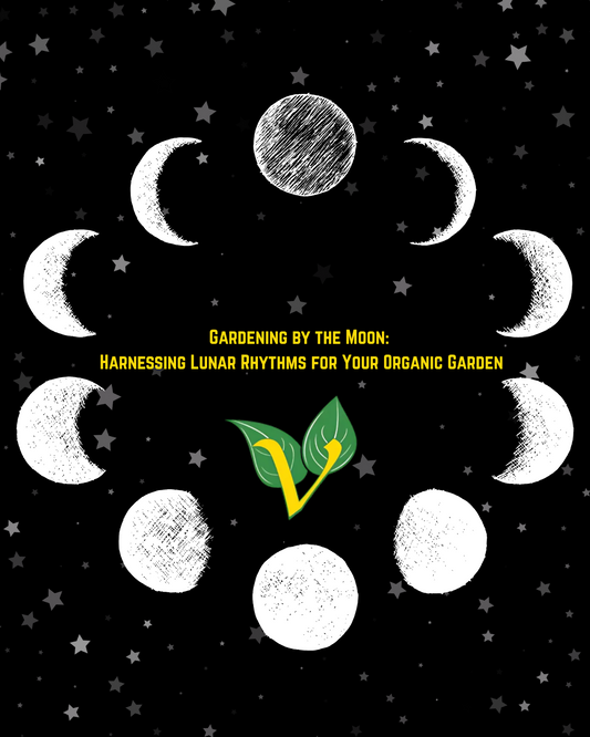 Gardening by the Moon: Harnessing Lunar Rhythms for Your Organic Garden