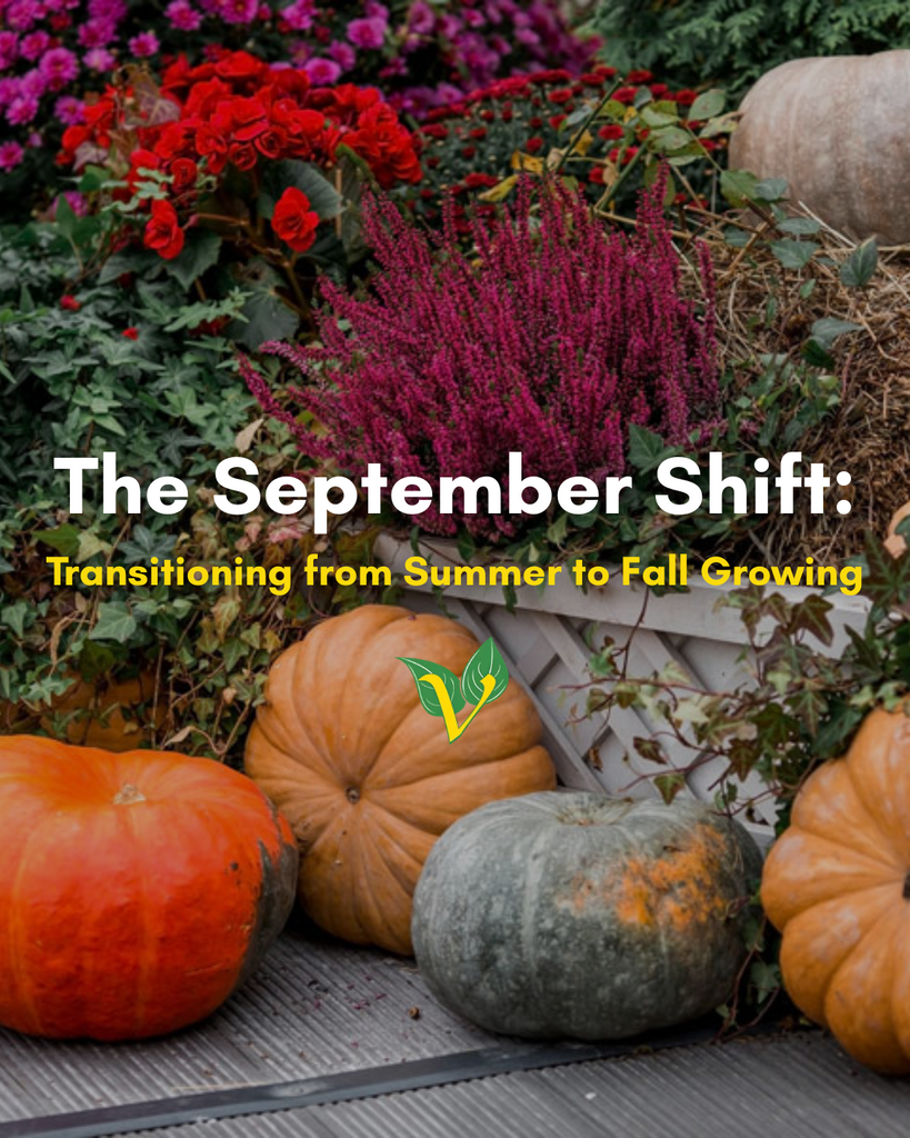 The September Shift: Transitioning from Summer to Fall Growing
