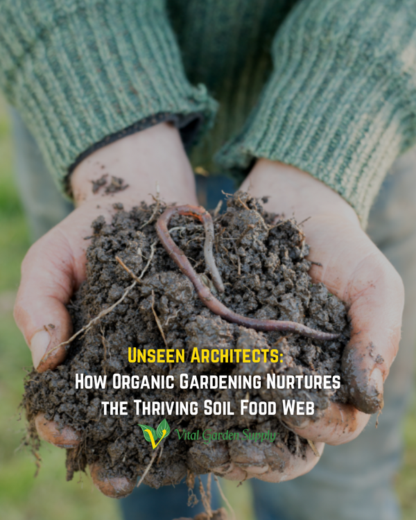 Unseen Architects: How Organic Gardening Nurtures the Thriving Soil Food Web