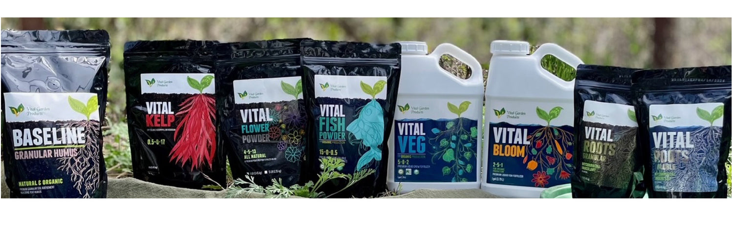 VITAL V