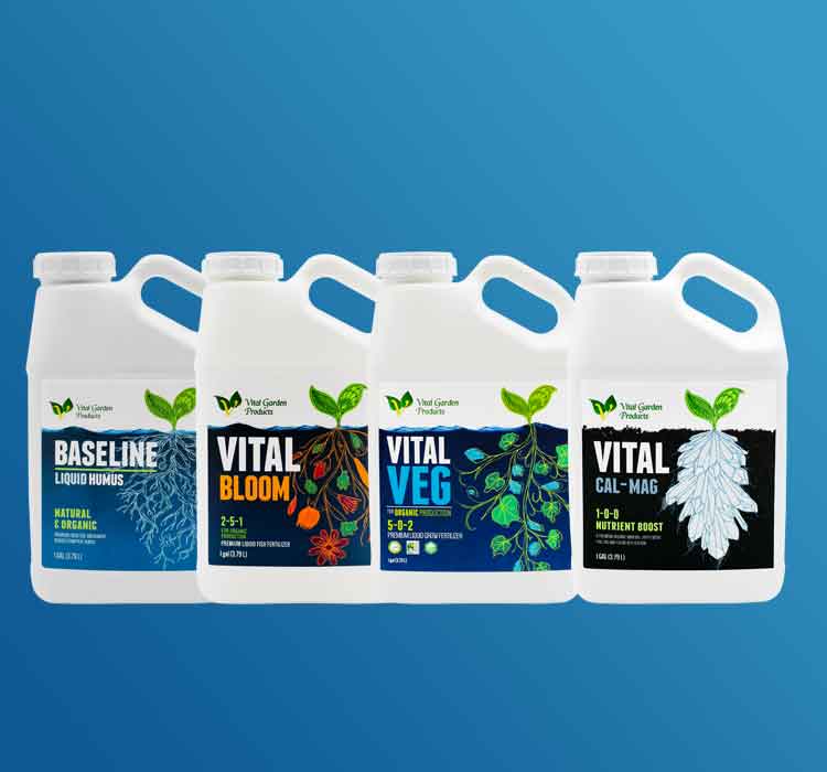 Vital Nutrient Starter Pack