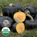 Burgess Buttercup Squash Seeds