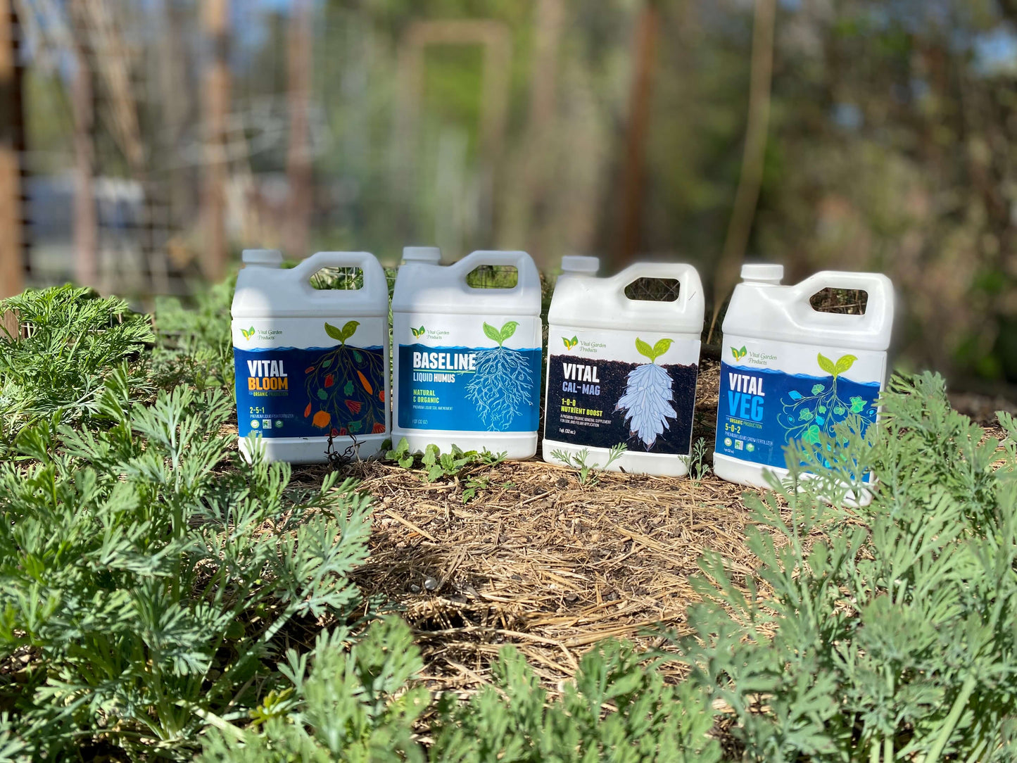 Vital Starter Pack QUARTS - $10 off!