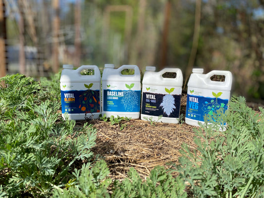 Vital Starter Pack QUARTS - $10 off!