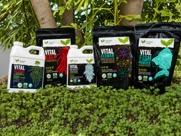 Pro Foliar Spray Pack