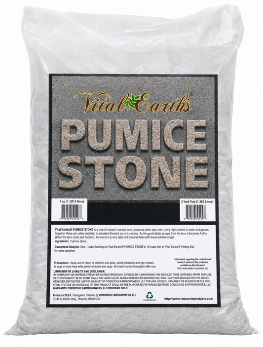 Pumice Stone
