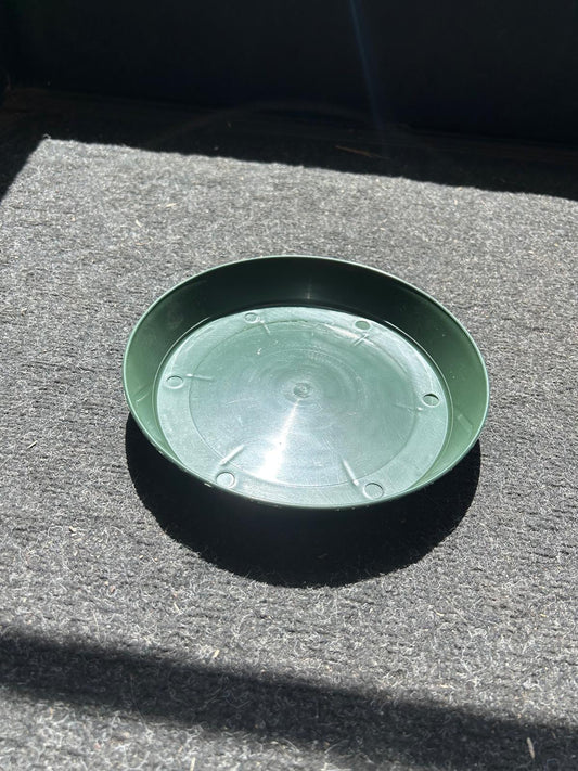 Plant Saucer