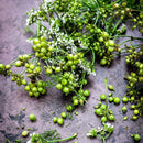 Indian Coriander Seeds