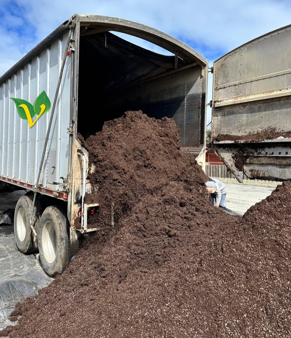 Vital garden supply, organic growing, organic inputs, organic farming, organic, organics, organic fruit, organic vegetables, organic grow, organic cannabis, how to grow organically, sustainable agriculture practices, regenerative farming methods, permaculture gardening principles, no-till organic cultivation, companion planting organic, soil food web enhancement, natural pest control solutions, organic seed starting techniques, compost tea applications, cover cropping benefits, organic hydroponics systems, vertical organic gardens, organic greenhouse growing, biodynamic agriculture guide, organic soil amendments recipe, natural fertilizer for plants, organic compost for sale, living soil preparation, mycorrhizal fungi benefits, worm castings for garden, organic potting mix ingredients, soil pH balancing organic, organic mulch applications, natural soil aeration, organic herb garden design, organic berry cultivation, organic heirloom tomatoes, organic microgreens growing, organic mushroom cultivation, organic orchard management,organic pest management for roses, certified organic produce near me, organic food online delivery, benefits of organic diet, organic gardening supplies store, local organic farmers market, organic certification standards, organic food labeling regulations, organic living resources, organic gardening workshops, organic agriculture research papers, organic gardening beginner guide, organic farming business plan, organic gardening troubleshooting, organic garden design tips, how to build a living soil compost pile, best natural pest control for aphids on tomatoes, organic fertilizer for flowering plants in containers, sustainable agriculture practices for small scale farms, regenerative farming methods to improve soil health, companion planting with organic herbs and vegetables.