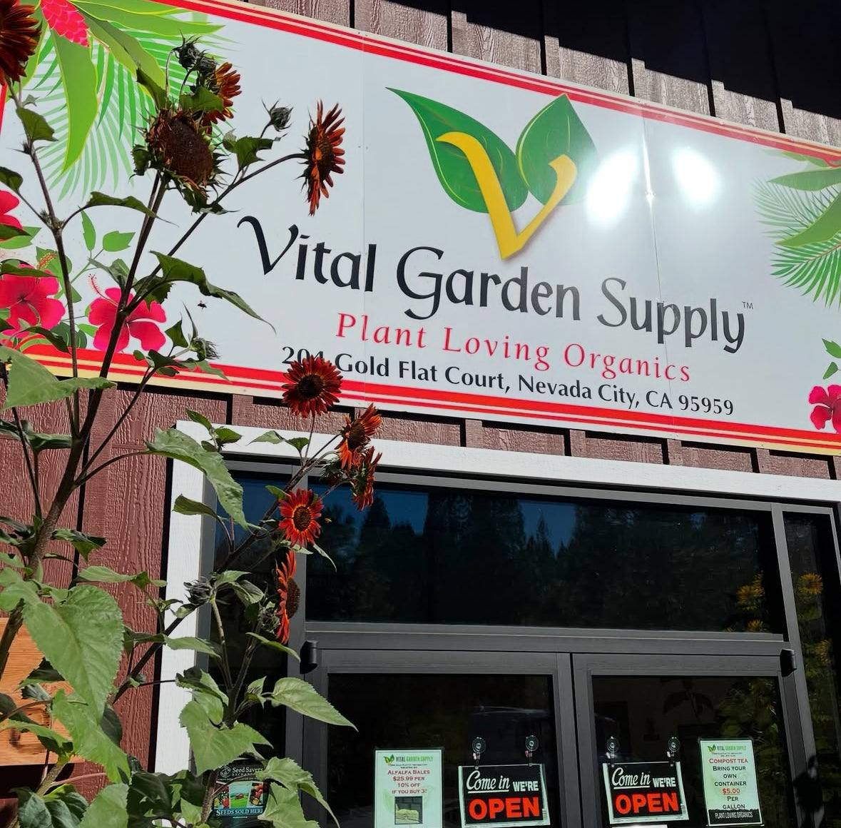 Vital garden supply, organic growing, organic inputs, organic farming, organic, organics, organic fruit, organic vegetables, organic grow, organic cannabis, how to grow organically, sustainable agriculture practices, regenerative farming methods, permaculture gardening principles, no-till organic cultivation, companion planting organic, soil food web enhancement, natural pest control solutions, organic seed starting techniques, compost tea applications, cover cropping benefits, organic hydroponics systems, vertical organic gardens, organic greenhouse growing, biodynamic agriculture guide, organic soil amendments recipe, natural fertilizer for plants, organic compost for sale, living soil preparation, mycorrhizal fungi benefits, worm castings for garden, organic potting mix ingredients, soil pH balancing organic, organic mulch applications, natural soil aeration, organic herb garden design, organic berry cultivation, organic heirloom tomatoes, organic microgreens growing, organic mushroom cultivation, organic orchard management,organic pest management for roses, certified organic produce near me, organic food online delivery, benefits of organic diet, organic gardening supplies store, local organic farmers market, organic certification standards, organic food labeling regulations, organic living resources, organic gardening workshops, organic agriculture research papers, organic gardening beginner guide, organic farming business plan, organic gardening troubleshooting, organic garden design tips, how to build a living soil compost pile, best natural pest control for aphids on tomatoes, organic fertilizer for flowering plants in containers, sustainable agriculture practices for small scale farms, regenerative farming methods to improve soil health, companion planting with organic herbs and vegetables.