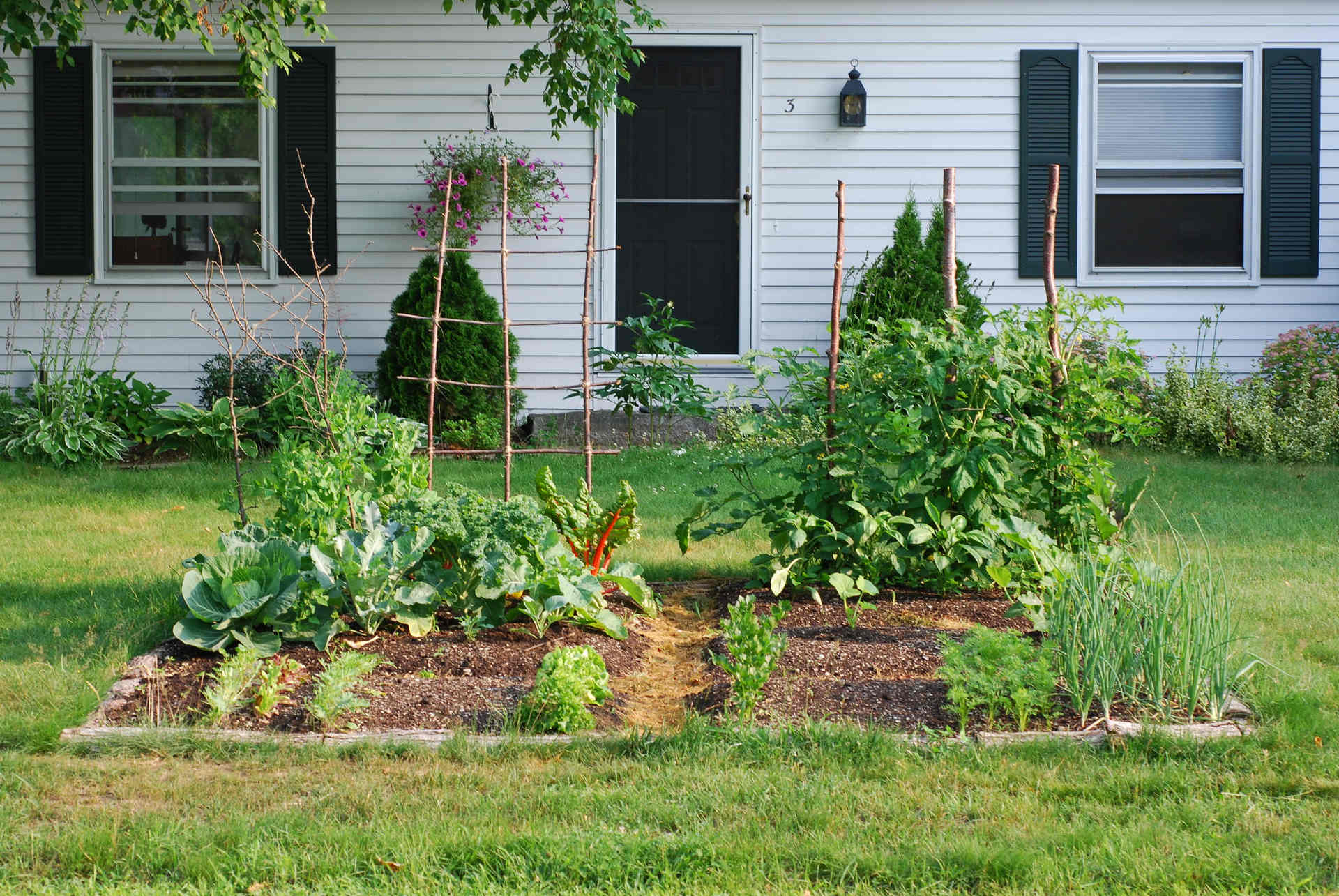 Vital garden supply, organic growing, organic inputs, organic farming, organic, organics, organic fruit, organic vegetables, organic grow, organic cannabis, how to grow organically, sustainable agriculture practices, regenerative farming methods, permaculture gardening principles, no-till organic cultivation, companion planting organic, soil food web enhancement, natural pest control solutions, organic seed starting techniques, compost tea applications, cover cropping benefits, organic hydroponics systems, vertical organic gardens, organic greenhouse growing, biodynamic agriculture guide, organic soil amendments recipe, natural fertilizer for plants, organic compost for sale, living soil preparation, mycorrhizal fungi benefits, worm castings for garden, organic potting mix ingredients, soil pH balancing organic, organic mulch applications, natural soil aeration, organic herb garden design, organic berry cultivation, organic heirloom tomatoes, organic microgreens growing, organic mushroom cultivation, organic orchard management,organic pest management for roses, certified organic produce near me, organic food online delivery, benefits of organic diet, organic gardening supplies store, local organic farmers market, organic certification standards, organic food labeling regulations, organic living resources, organic gardening workshops, organic agriculture research papers, organic gardening beginner guide, organic farming business plan, organic gardening troubleshooting, organic garden design tips, how to build a living soil compost pile, best natural pest control for aphids on tomatoes, organic fertilizer for flowering plants in containers, sustainable agriculture practices for small scale farms, regenerative farming methods to improve soil health, companion planting with organic herbs and vegetables.