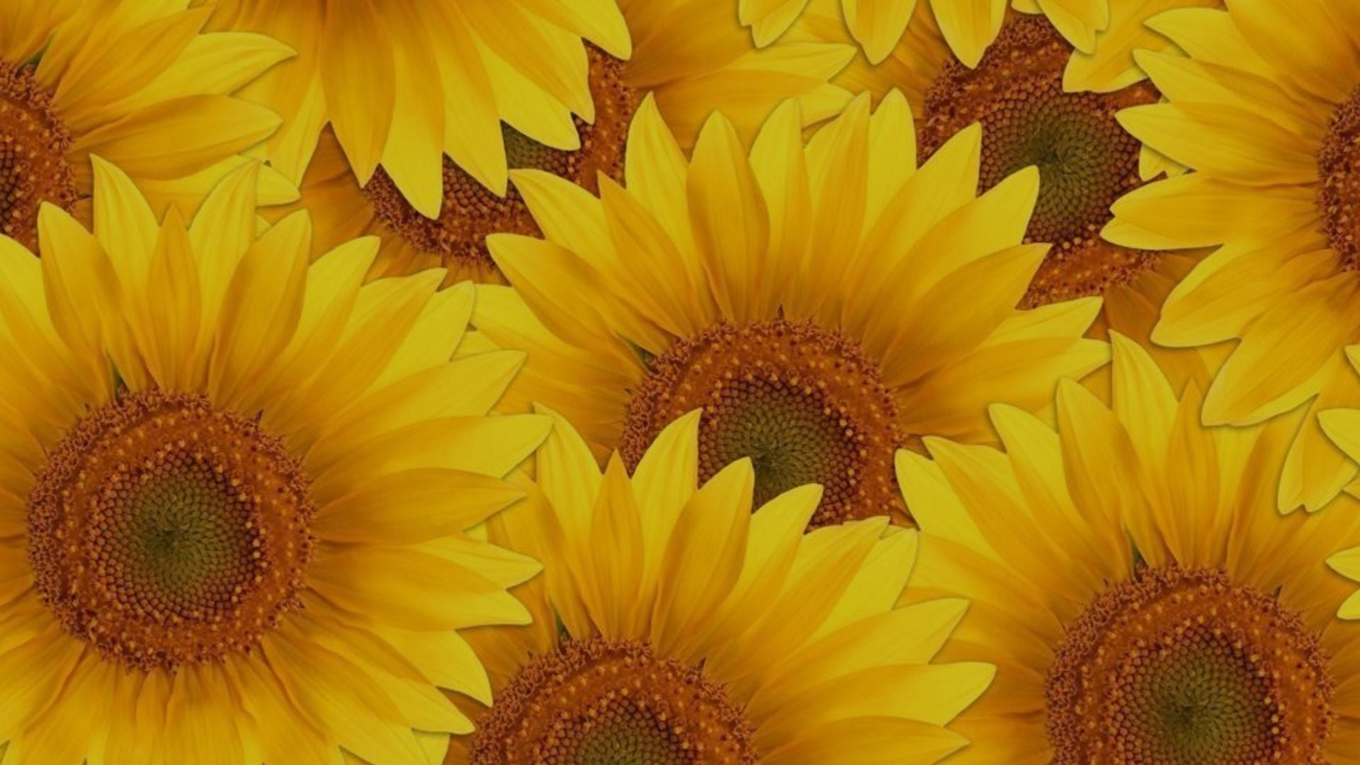 Vital garden supply, organic growing, organic inputs, organic farming, organic, organics, organic fruit, organic vegetables, organic grow, organic cannabis, how to grow organically, sustainable agriculture practices, regenerative farming methods, permaculture gardening principles, no-till organic cultivation, companion planting organic, soil food web enhancement, natural pest control solutions, organic seed starting techniques, compost tea applications, cover cropping benefits, organic hydroponics systems, vertical organic gardens, organic greenhouse growing, biodynamic agriculture guide, organic soil amendments recipe, natural fertilizer for plants, organic compost for sale, living soil preparation, mycorrhizal fungi benefits, worm castings for garden, organic potting mix ingredients, soil pH balancing organic, organic mulch applications, natural soil aeration, organic herb garden design, organic berry cultivation, organic heirloom tomatoes, organic microgreens growing, organic mushroom cultivation, organic orchard management,organic pest management for roses, certified organic produce near me, organic food online delivery, benefits of organic diet, organic gardening supplies store, local organic farmers market, organic certification standards, organic food labeling regulations, organic living resources, organic gardening workshops, organic agriculture research papers, organic gardening beginner guide, organic farming business plan, organic gardening troubleshooting, organic garden design tips, how to build a living soil compost pile, best natural pest control for aphids on tomatoes, organic fertilizer for flowering plants in containers, sustainable agriculture practices for small scale farms, regenerative farming methods to improve soil health, companion planting with organic herbs and vegetables.