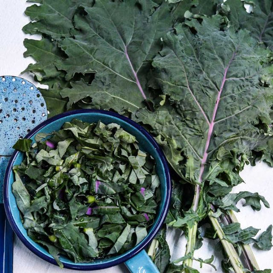 Russian Red/Ragged Jack Kale Seeds