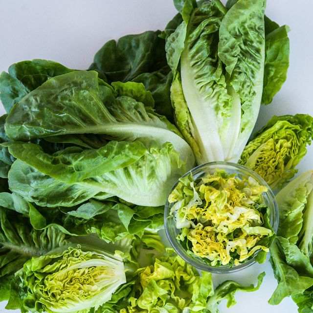 Buttercrunch Lettuce Seeds