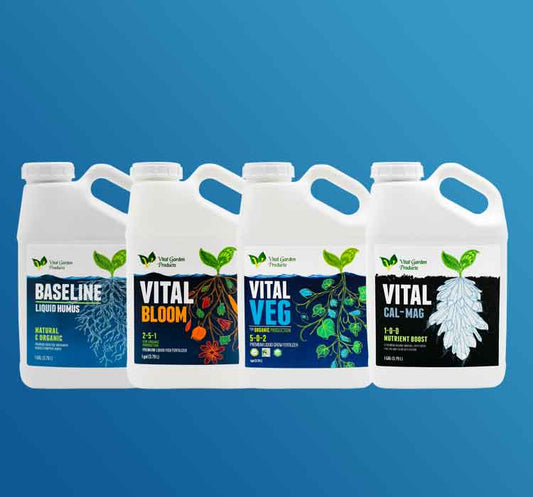Vital Starter Pack