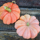 Moranga Squash Seeds