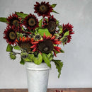 Chocolate Cherry Sunflower Seeds