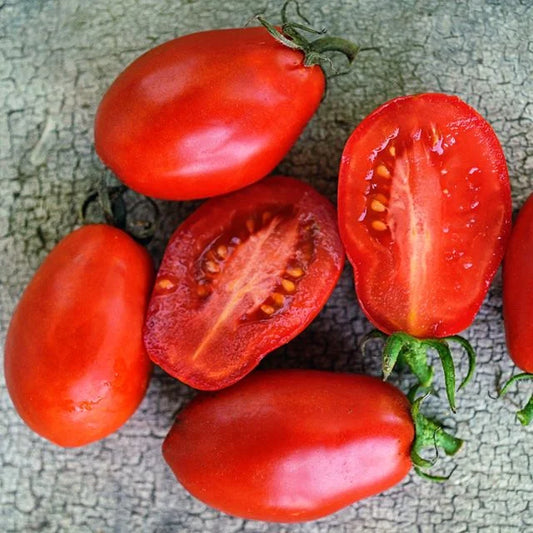 Martino's Roma Tomato Seeds