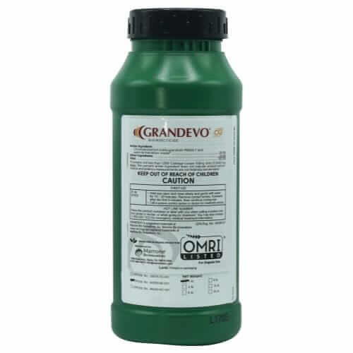 Marrone Bio Grandevo bottle