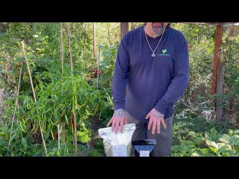 Vital Garden Supply House Blend cover crop usage youtube video