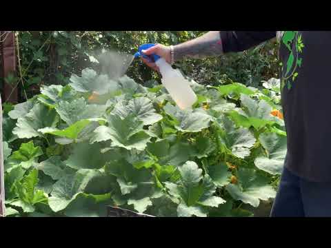 Vital Flower Powder - Soluble Bloom Fertilizer 4-5-13