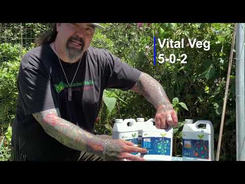 veg plant fertilizer Vital Veg