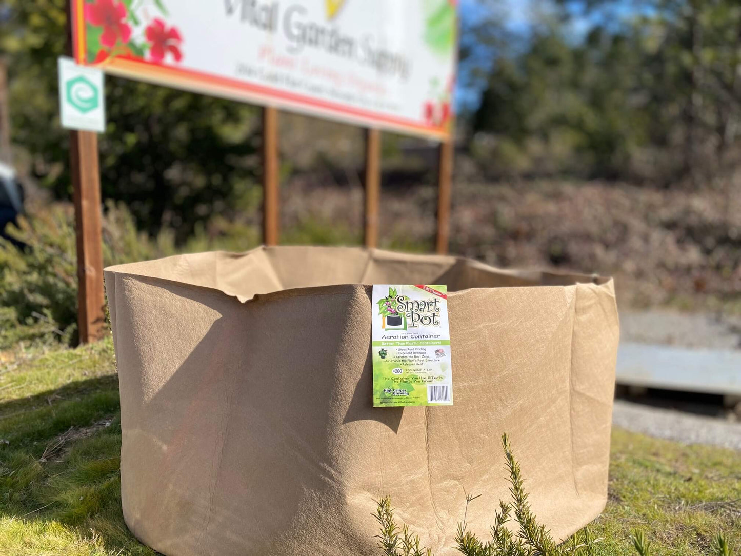 can you plant smart pots in the ground Smart Pots 200-Gallon Smart Pot Soft-Sided Container