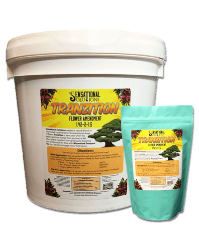 Sensational Solutions Tranzition product