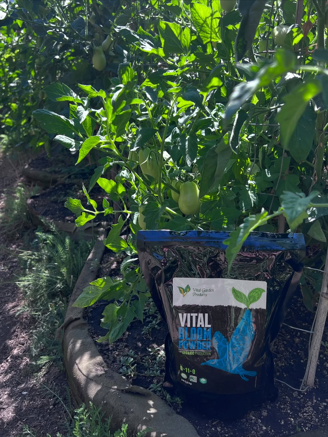 Vital Garden Supply on Instagram